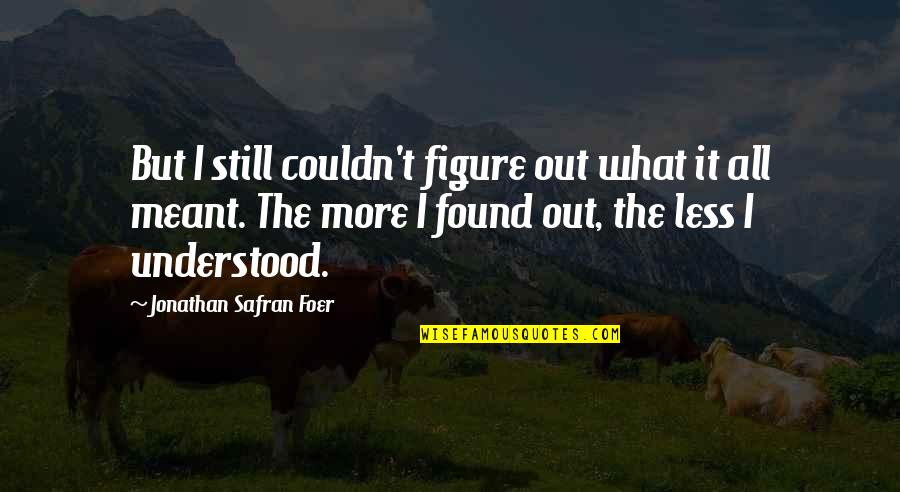 De Vital Statistics Quotes By Jonathan Safran Foer: But I still couldn't figure out what it