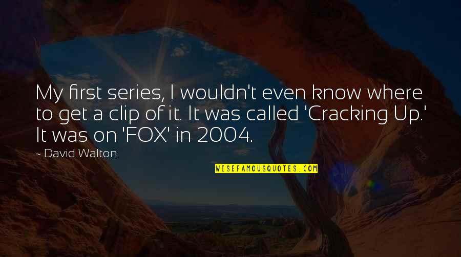 De Volta Para O Futuro Quotes By David Walton: My first series, I wouldn't even know where