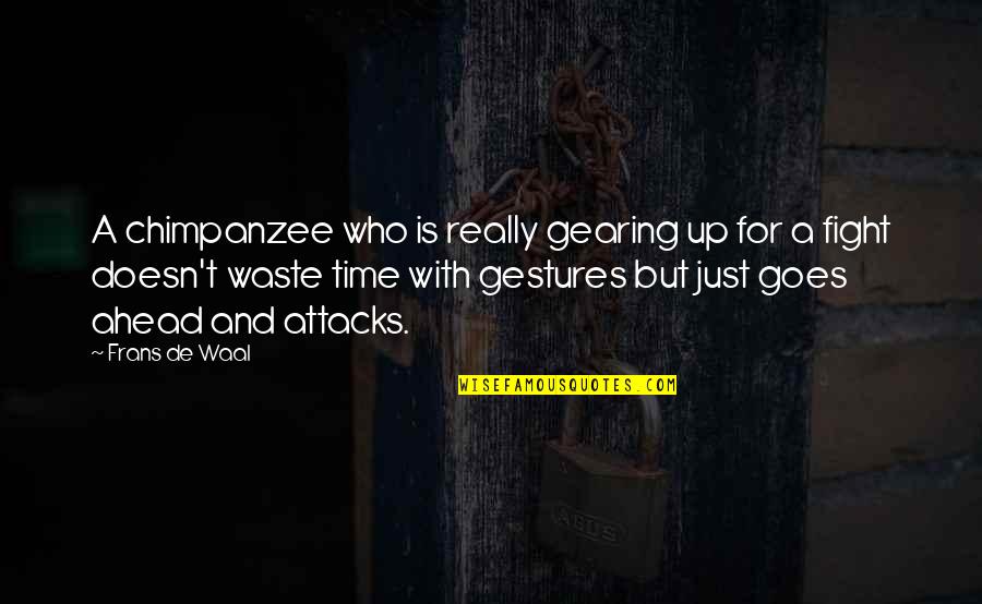 De Waal Quotes By Frans De Waal: A chimpanzee who is really gearing up for De Waal Quotes By Frans De Waal: A chimpanzee who is really gearing up for