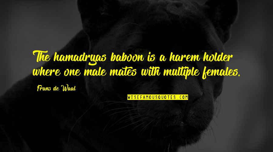 De Waal Quotes By Frans De Waal: The hamadryas baboon is a harem holder where