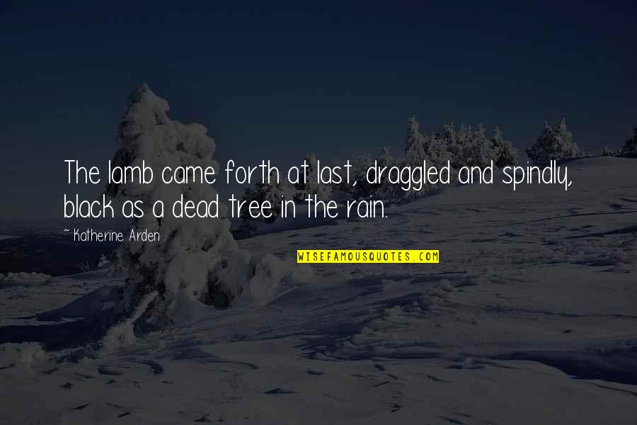 Dead As Quotes By Katherine Arden: The lamb came forth at last, draggled and Dead As Quotes By Katherine Arden: The lamb came forth at last, draggled and