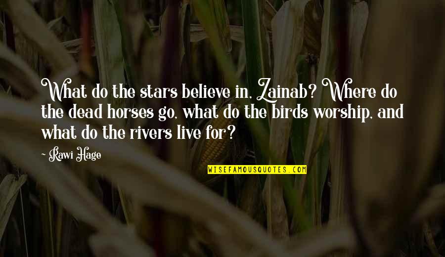 Dead Birds Quotes By Rawi Hage: What do the stars believe in, Zainab? Where