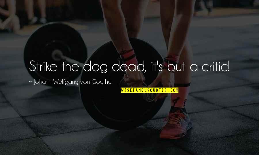 Dead Dog Quotes By Johann Wolfgang Von Goethe: Strike the dog dead, it's but a critic!