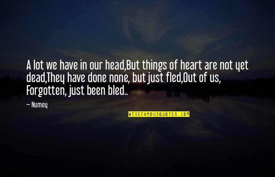 Dead Head Quotes By Numey: A lot we have in our head,But things Dead Head Quotes By Numey: A lot we have in our head,But things