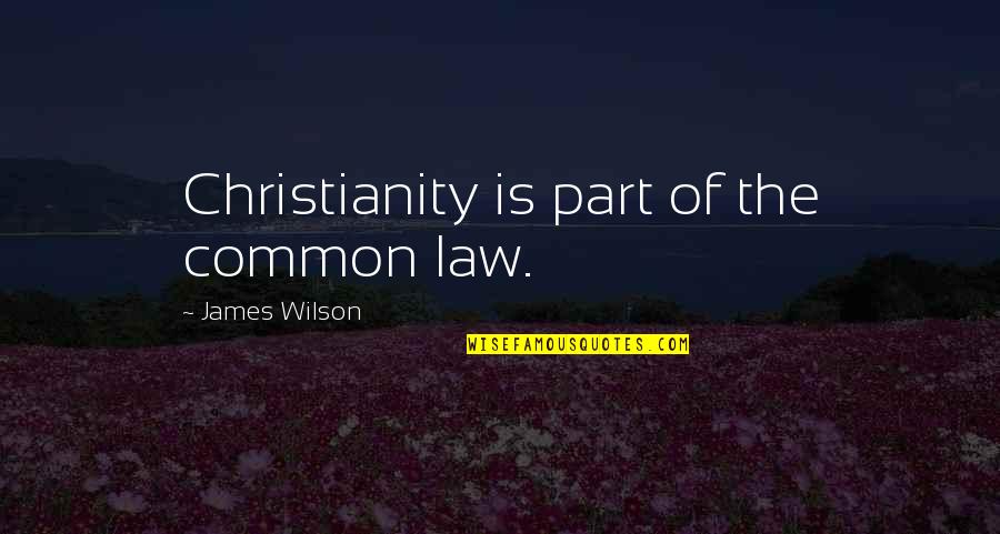 Dead Island Riptide Quotes By James Wilson: Christianity is part of the common law.