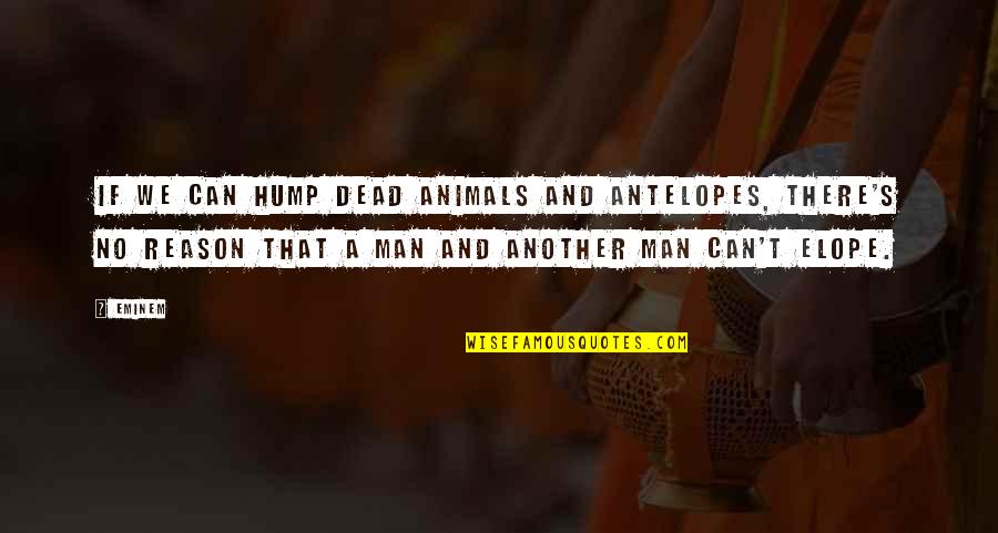 Dead Man Quotes By Eminem: If we can hump dead animals and antelopes,