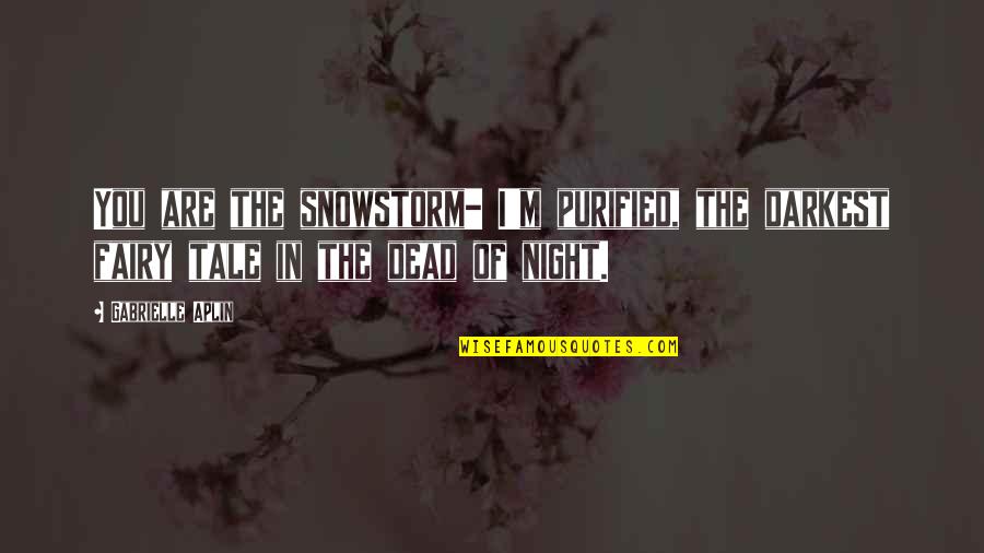 Dead Night Quotes By Gabrielle Aplin: You are the snowstorm- I'm purified, the darkest