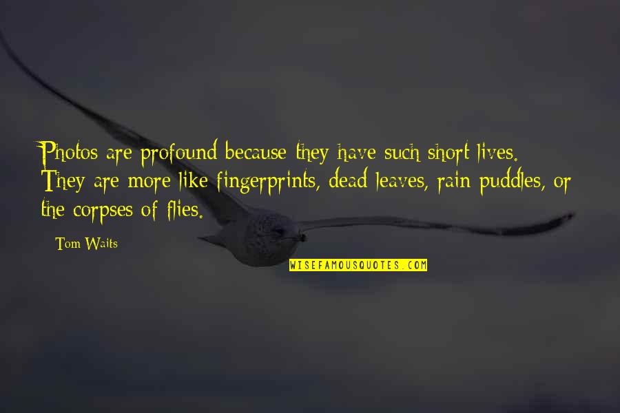 Dead Of Quotes By Tom Waits: Photos are profound because they have such short Dead Of Quotes By Tom Waits: Photos are profound because they have such short