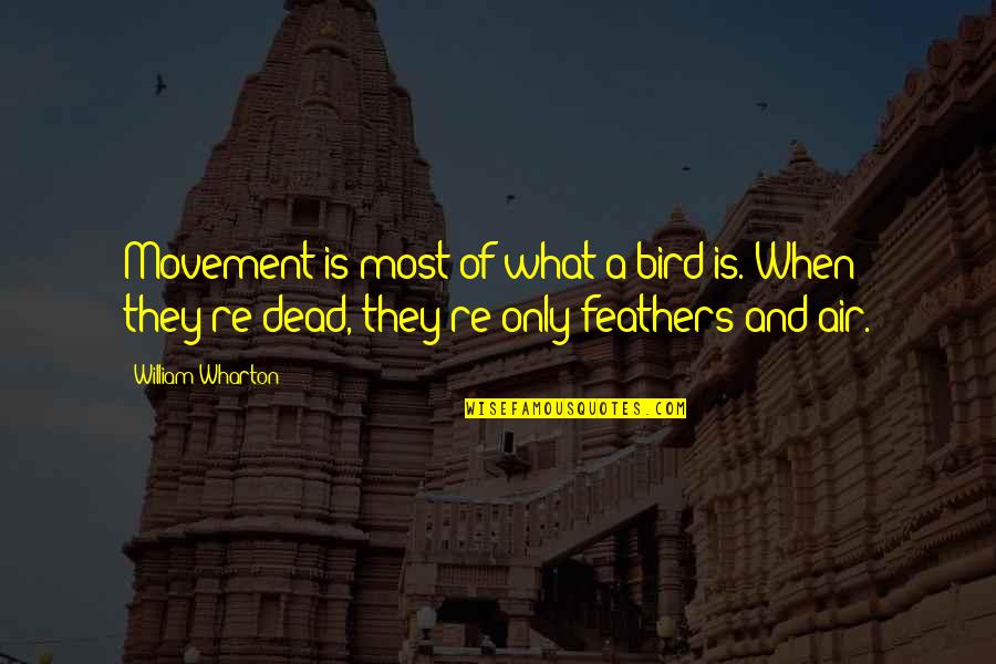 Dead Of Quotes By William Wharton: Movement is most of what a bird is. Dead Of Quotes By William Wharton: Movement is most of what a bird is.