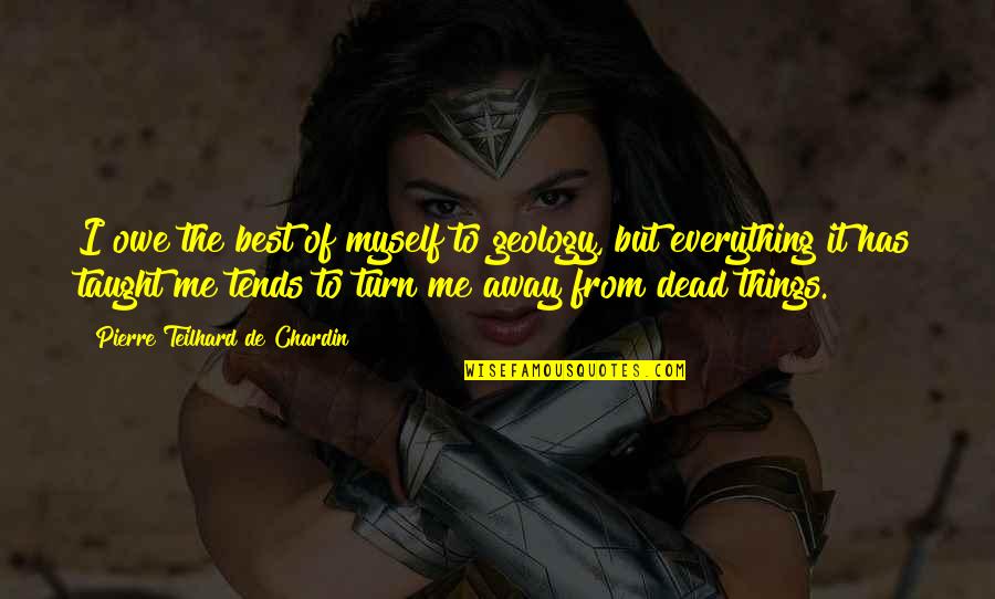 Dead Things Quotes By Pierre Teilhard De Chardin: I owe the best of myself to geology,