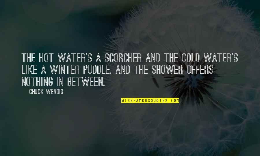 Deadbeat Boyfriend Quotes By Chuck Wendig: THE HOT WATER'S a scorcher and the cold