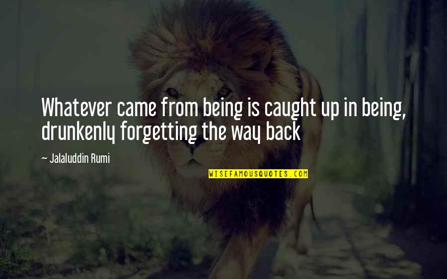 Deadish Quotes By Jalaluddin Rumi: Whatever came from being is caught up in