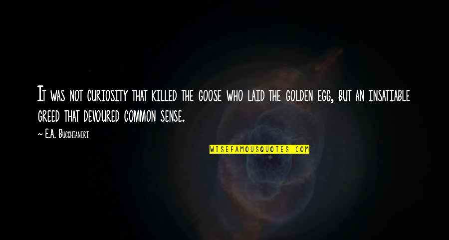 Deadly Sins Quotes By E.A. Bucchianeri: It was not curiosity that killed the goose