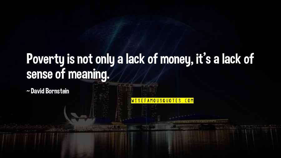 Deadpan Murder Quotes By David Bornstein: Poverty is not only a lack of money, Deadpan Murder Quotes By David Bornstein: Poverty is not only a lack of money,
