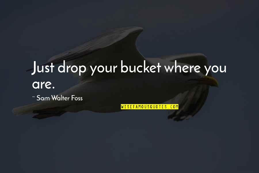 Deadra Jefferson Quotes By Sam Walter Foss: Just drop your bucket where you are. Deadra Jefferson Quotes By Sam Walter Foss: Just drop your bucket where you are.
