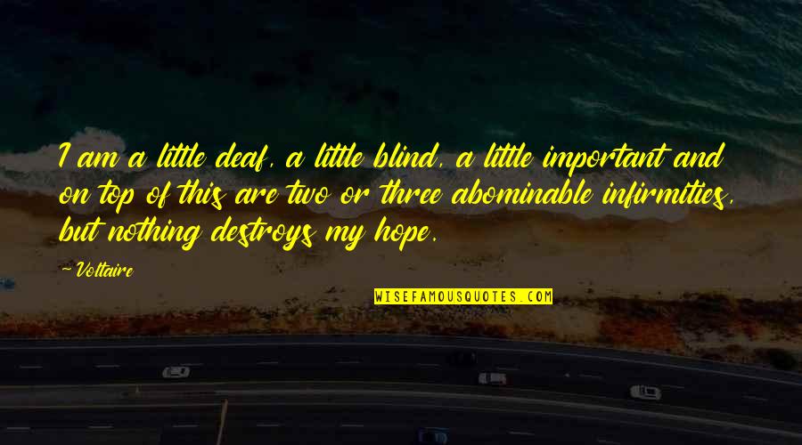 Deaf Blind Quotes By Voltaire: I am a little deaf, a little blind,