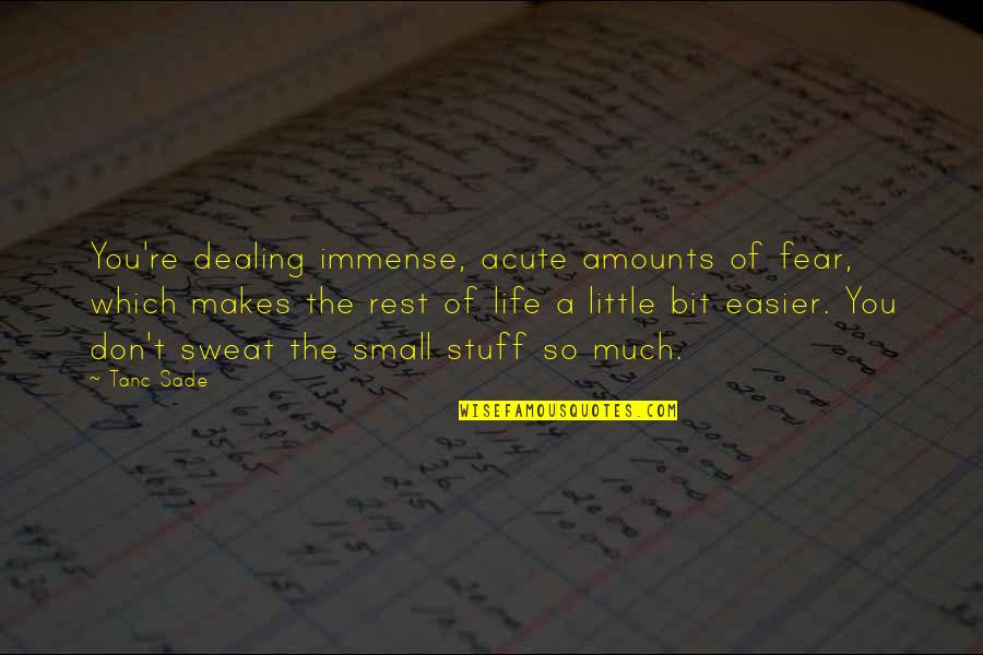 Dealing With Stuff Quotes By Tanc Sade: You're dealing immense, acute amounts of fear, which Dealing With Stuff Quotes By Tanc Sade: You're dealing immense, acute amounts of fear, which