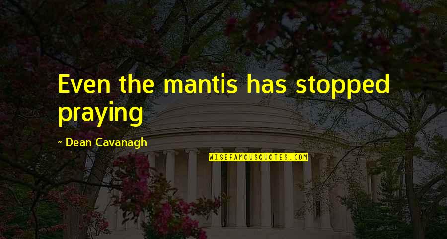 Dean Cavanagh Quotes By Dean Cavanagh: Even the mantis has stopped praying