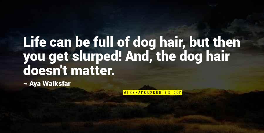 Dean Koontz Phantoms Quotes By Aya Walksfar: Life can be full of dog hair, but