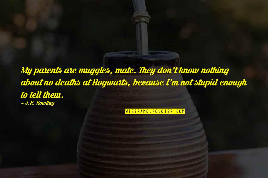 Dean Thomas Quotes By J.K. Rowling: My parents are muggles, mate. They don't know