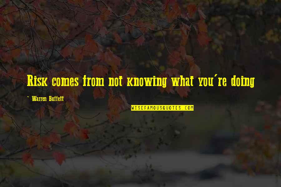 Deanos Hardwoods Quotes By Warren Buffett: Risk comes from not knowing what you're doing