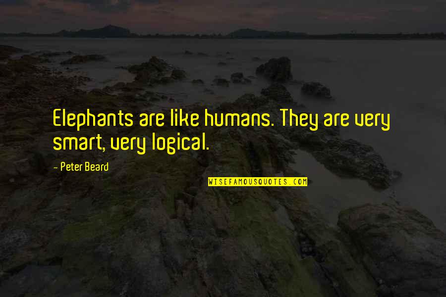 Dear God Guide Me Quotes By Peter Beard: Elephants are like humans. They are very smart,