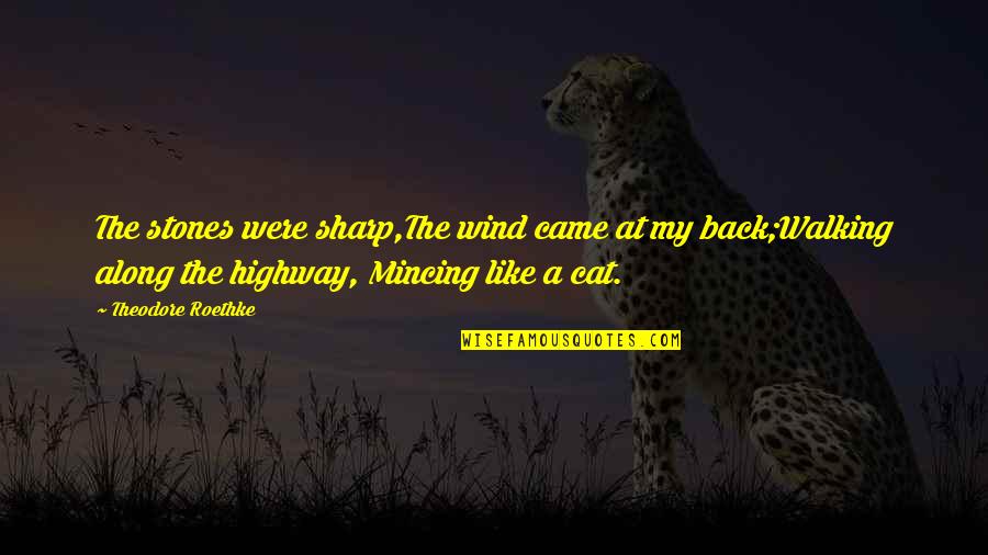 Dear Insomnia Funny Quotes By Theodore Roethke: The stones were sharp,The wind came at my Dear Insomnia Funny Quotes By Theodore Roethke: The stones were sharp,The wind came at my