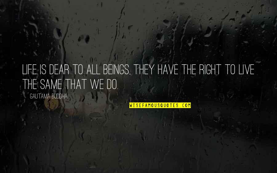 Dear Mr Right Quotes By Gautama Buddha: Life is dear to all beings, they have