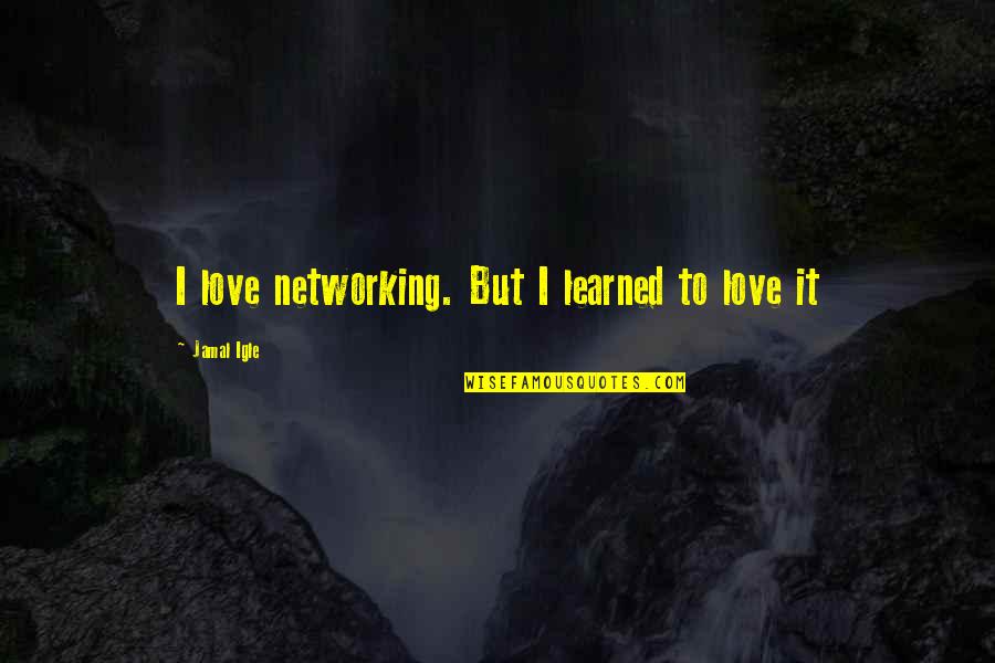 Dear Teacher Funny Quotes By Jamal Igle: I love networking. But I learned to love