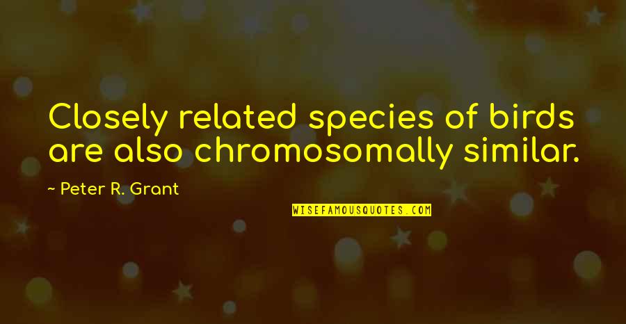 Dear Woman Michael Reid Quotes By Peter R. Grant: Closely related species of birds are also chromosomally