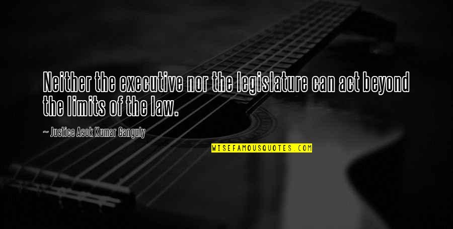 Dear Young Man Of Color Quotes By Justice Asok Kumar Ganguly: Neither the executive nor the legislature can act