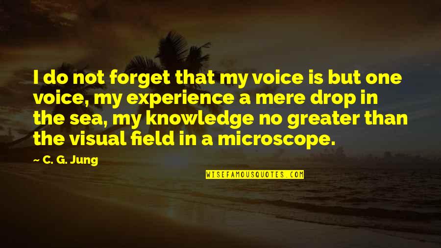 Dears Quotes By C. G. Jung: I do not forget that my voice is