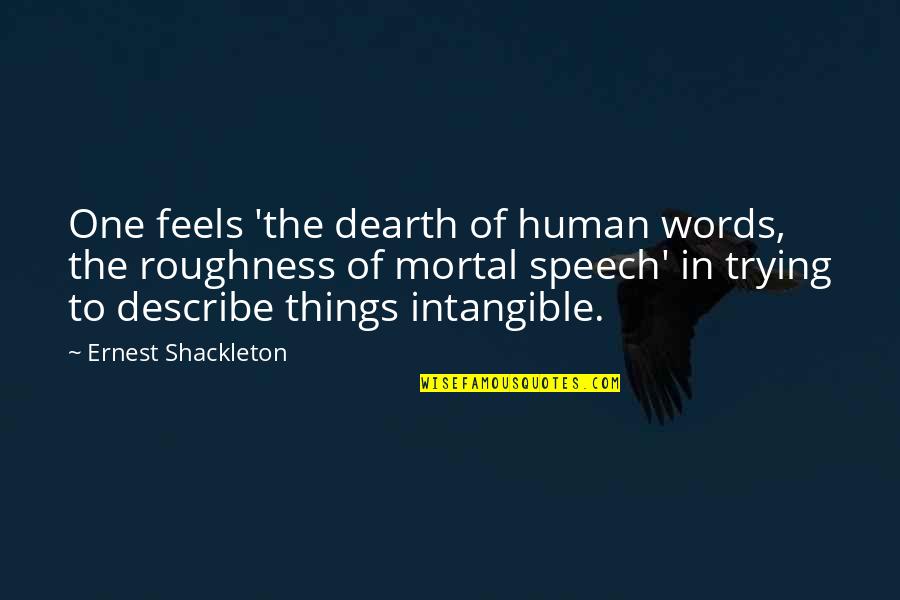 Dearth Quotes By Ernest Shackleton: One feels 'the dearth of human words, the