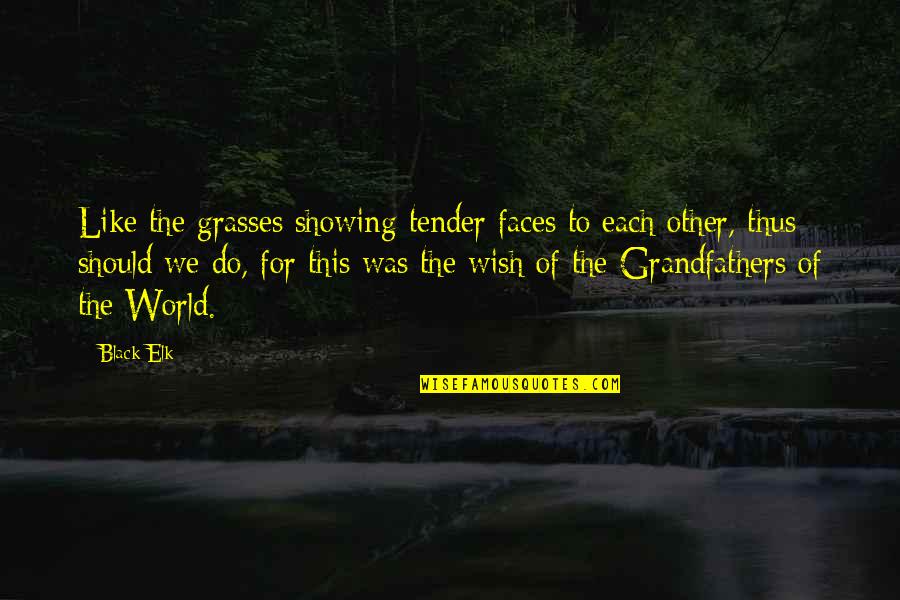 Deasy Tuwo Quotes By Black Elk: Like the grasses showing tender faces to each Deasy Tuwo Quotes By Black Elk: Like the grasses showing tender faces to each