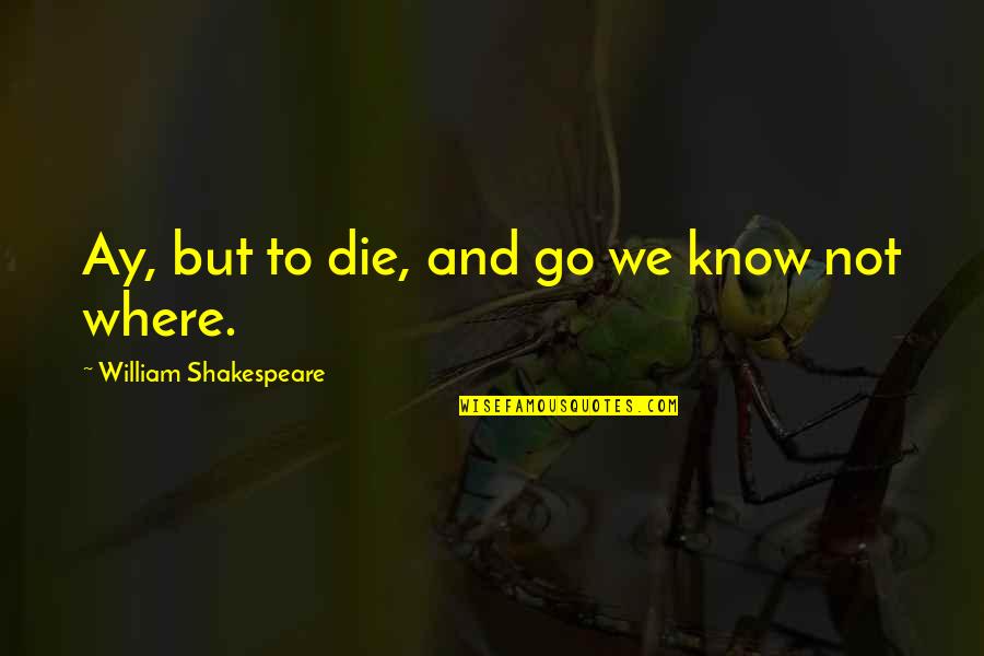 Death And Dying Quotes By William Shakespeare: Ay, but to die, and go we know