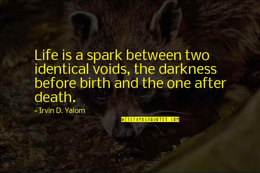 Death And Life After Quotes By Irvin D. Yalom: Life is a spark between two identical voids,