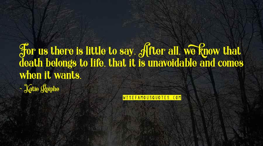 Death And Life After Quotes By Katie Roiphe: For us there is little to say. After