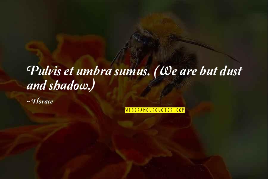 Death And Life Quotes By Horace: Pulvis et umbra sumus. (We are but dust