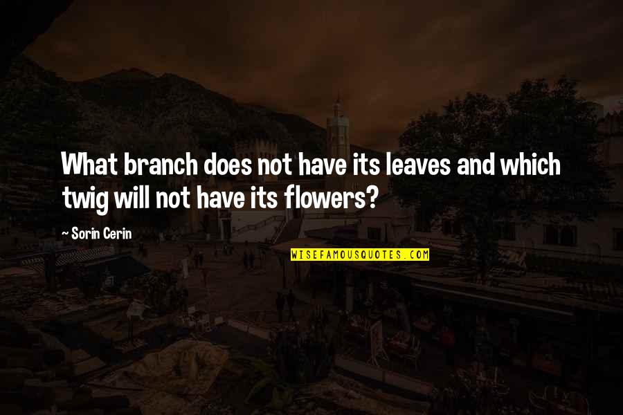 Death And Love Quotes By Sorin Cerin: What branch does not have its leaves and