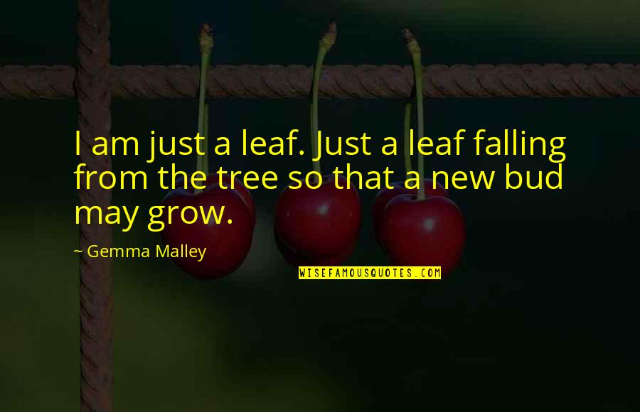 Death And New Life Quotes By Gemma Malley: I am just a leaf. Just a leaf