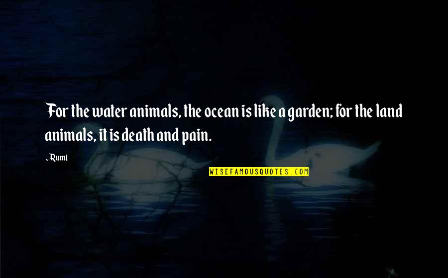 Death And Pain Quotes By Rumi: For the water animals, the ocean is like