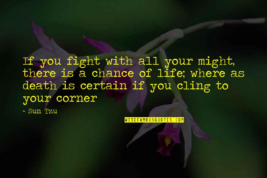 Death And The Sun Quotes By Sun Tzu: If you fight with all your might, there