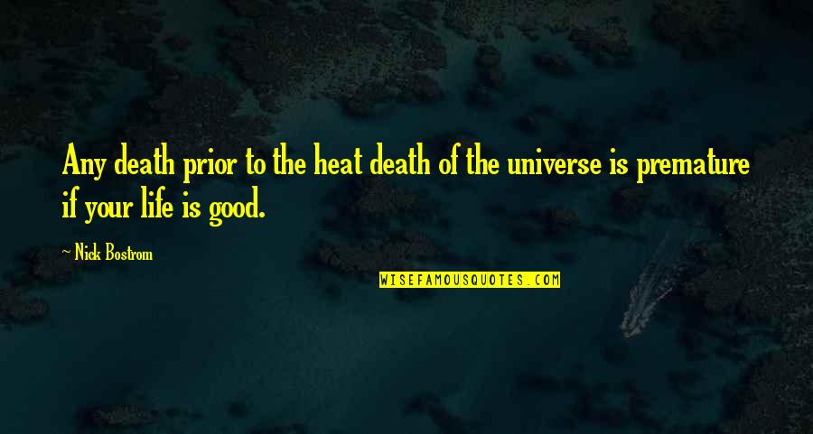 Death And The Universe Quotes By Nick Bostrom: Any death prior to the heat death of