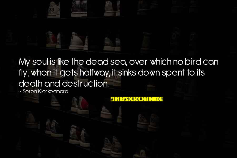 Death At Sea Quotes By Soren Kierkegaard: My soul is like the dead sea, over