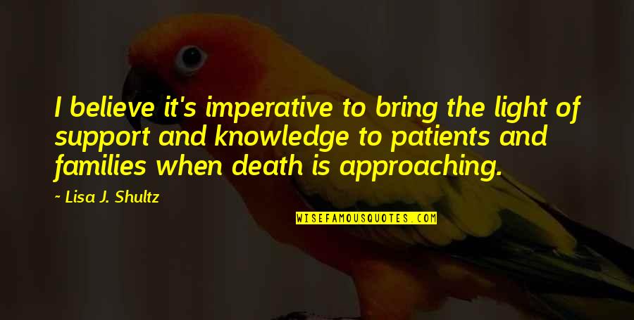 Death End Of Life Quotes By Lisa J. Shultz: I believe it's imperative to bring the light