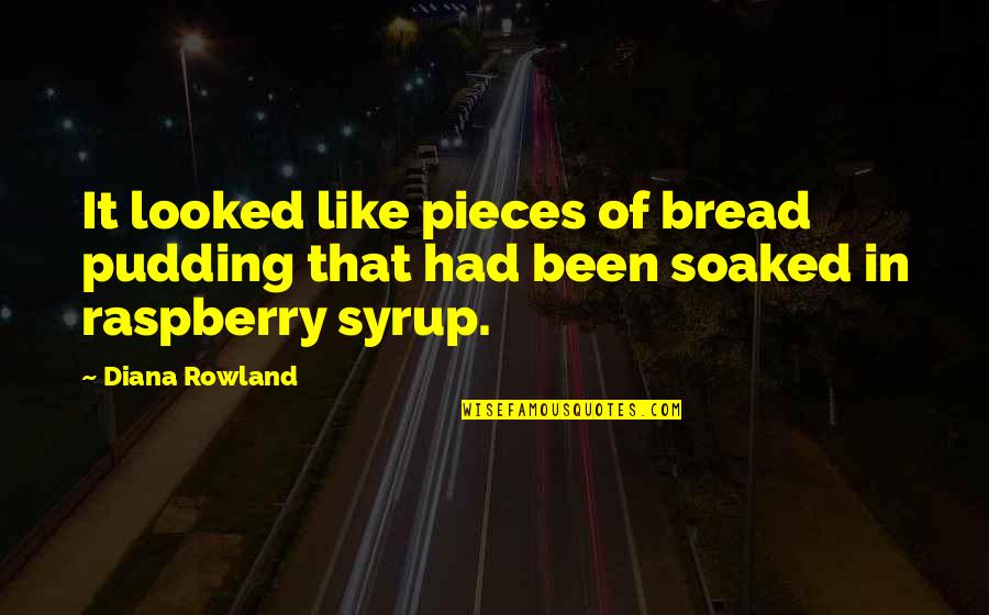 Death Humor Quotes By Diana Rowland: It looked like pieces of bread pudding that