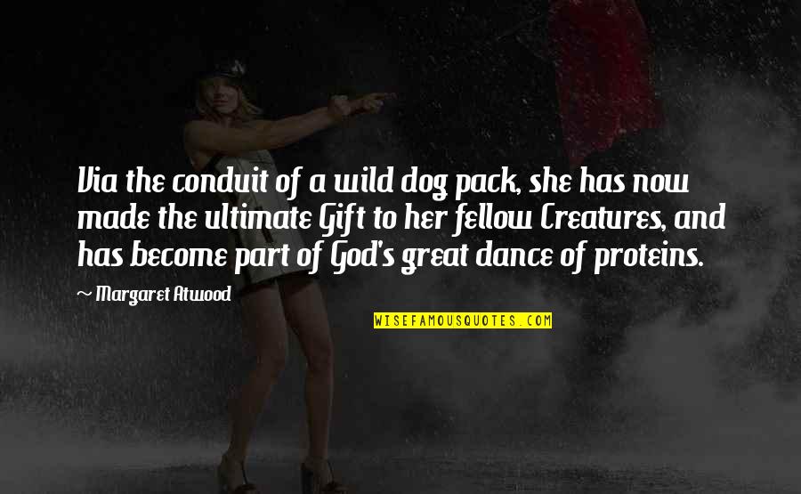 Death Is A Gift Quotes By Margaret Atwood: Via the conduit of a wild dog pack,