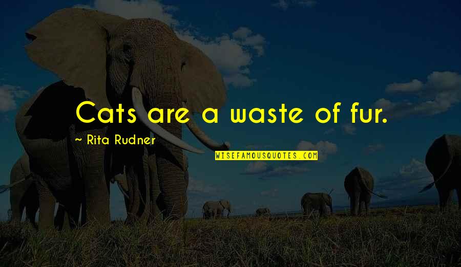 Death Of A Aunt Quotes By Rita Rudner: Cats are a waste of fur. Death Of A Aunt Quotes By Rita Rudner: Cats are a waste of fur.
