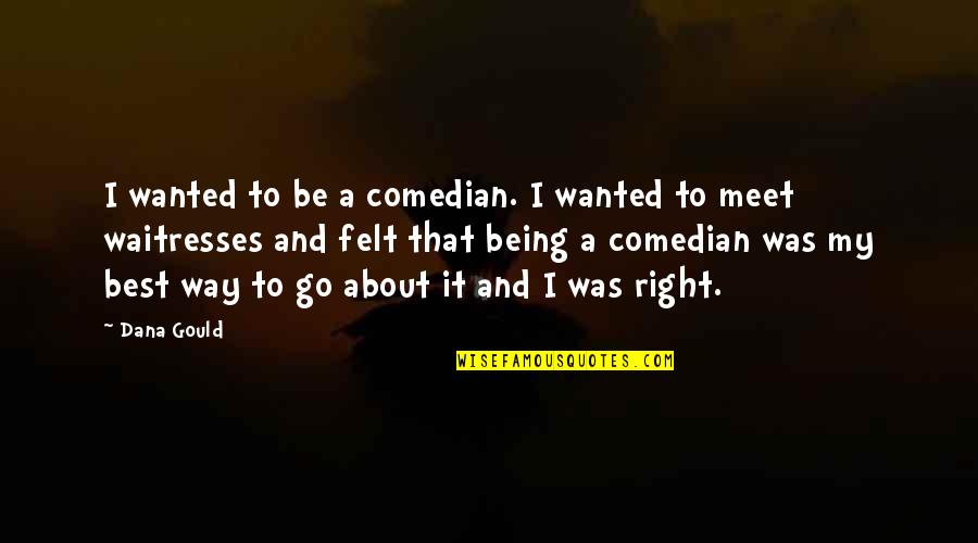 Death Of A Friend's Mother Quotes By Dana Gould: I wanted to be a comedian. I wanted