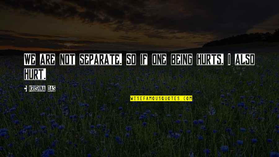 Death Of A Salesman Dreams Vs Reality Quotes By Krishna Das: We are not separate. So if one being